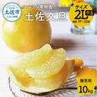 マルツジ果樹園の土佐文旦 贈答用 2L中玉(約10kg)