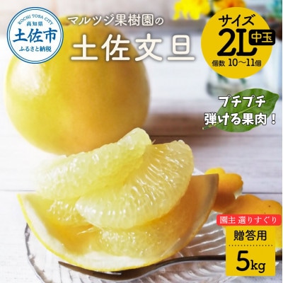 マルツジ果樹園の土佐文旦 贈答用 2L中玉(約5kg)