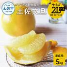 マルツジ果樹園の土佐文旦 家庭用 2L中玉(約5kg)