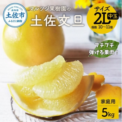 マルツジ果樹園の土佐文旦 家庭用 2L中玉(約5kg)