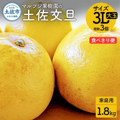 マルツジ果樹園の土佐文旦 家庭用 大玉 3L　3個入り(約1.8kg)の食べきり便!