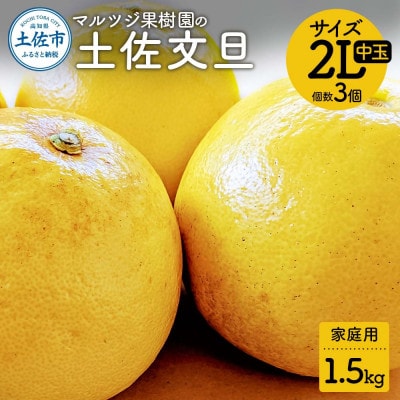 マルツジ果樹園の土佐文旦 家庭用 中玉 2L 3個入り(約1.5kg)