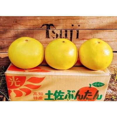 マルツジ果樹園の土佐文旦 家庭用 中玉 2L　3個入り(約1.5kg)の食べきり便!
