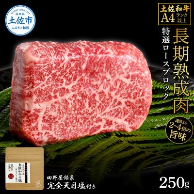 土佐和牛 特選ロースブロック250g　田野屋銀象完全天日塩1P付き
