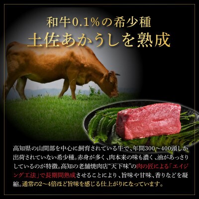 土佐あかうし 特選赤身ブロック500g　田野屋銀象完全天日塩1P付き