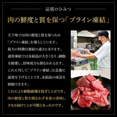 土佐あかうし 特選赤身サイコロステーキ500g　田野屋銀象完全天日塩1P付き