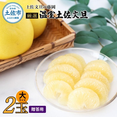 〈土佐文旦の藤岡〉　温室土佐文旦　木箱入り贈答用　大玉2玉(約1.2kg)年内配送可能