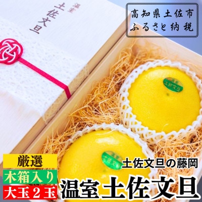 〈土佐文旦の藤岡〉　温室土佐文旦　木箱入り贈答用　大玉2玉(約1.2kg)年内配送可能