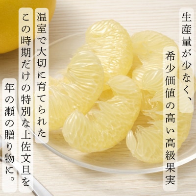 〈土佐文旦の藤岡〉　温室土佐文旦　木箱入り贈答用　大玉2玉(約1.2kg)年内配送可能