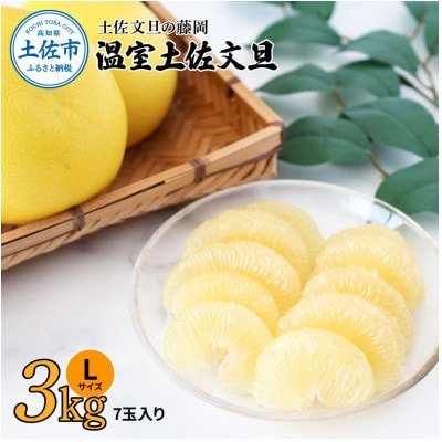 《土佐文旦の藤岡》温室土佐文旦約3kg(Lサイズ7玉入り)