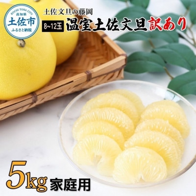 《土佐文旦の藤岡》温室土佐文旦【訳あり】家庭用　5kg(8～12玉)