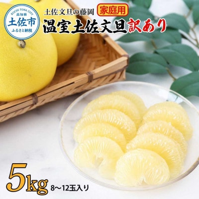 《土佐文旦の藤岡》温室土佐文旦【訳あり】家庭用　5kg(8～12玉)