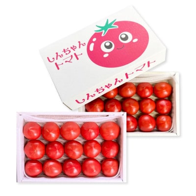 完熟トマト しんちゃんトマト 約1.5kg(750g×2箱) 糖度7.0～8.9度