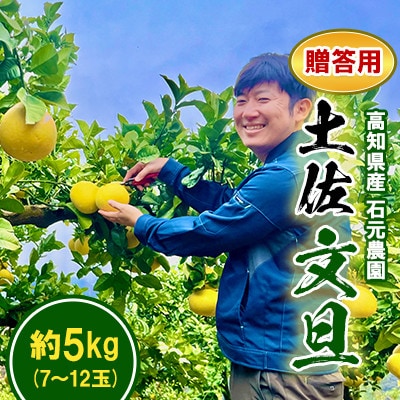 【期間限定】高知県産 石元農園の 土佐 文旦　贈答用　約5kg　(7～12玉)