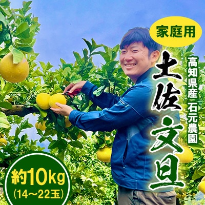 【期間限定】高知県産 石元農園の 土佐 文旦　家庭用　約10kg　(14～22玉)