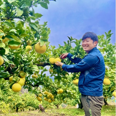 【期間限定】高知県産 石元農園の 土佐 文旦　家庭用　約3kg(5～9玉)