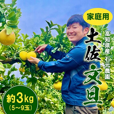 【期間限定】高知県産 石元農園の 土佐 文旦　家庭用　約3kg(5～9玉)