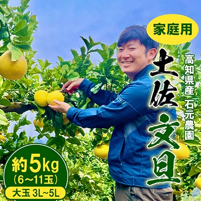【期間限定】高知県産 石元農園の 土佐 文旦　家庭用　大玉(3L～5L)約5kg(6～11玉)