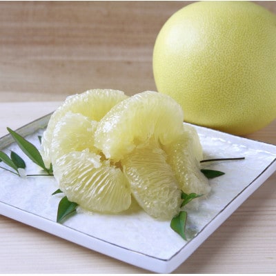 【期間限定】高知県産 石元農園の 土佐 文旦　家庭用　大玉(3L～5L)約5kg(6～11玉)