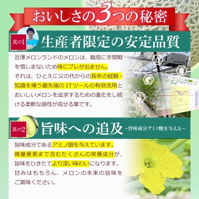 【近澤メロンランド】2025年冬発送　メロン2玉入(1玉約1.4kg～1.8kg)