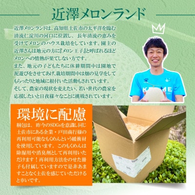 【近澤メロンランド】2025年冬発送　メロン2玉入(1玉約1.4kg～1.8kg)
