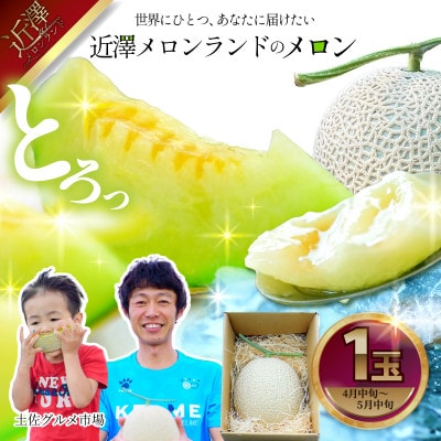 富良野メロン(特大玉) 1玉 約2kg｜うさマートジャパンサービス