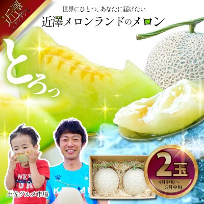 千葉県産 幸福メロン（貴味メロン）約2kg 1玉入り（赤肉1玉