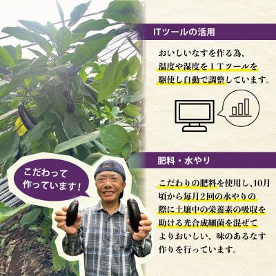 【2024年11月下旬より順次発送】森田さんちの土佐市産お竜なす 約1.5kg