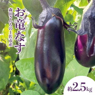 【2024年11月下旬より順次発送】森田さんちの土佐市産お竜なす 約2.5kg