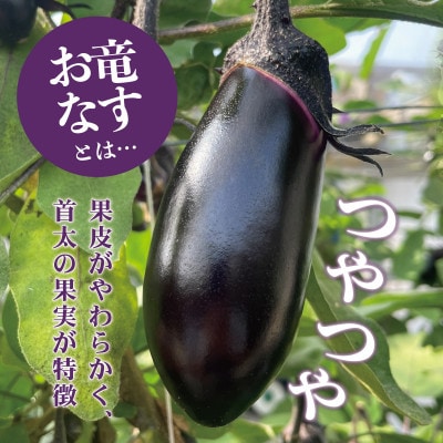 【2024年11月下旬より順次発送】森田さんちの土佐市産お竜なす 約2.5kg