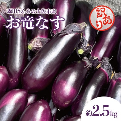 【2025年3月下旬より順次発送】森田さんちの(訳あり)土佐市産お竜なす約2.5kg土佐グルメ市場