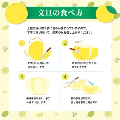 温室土佐文旦 高級 約3kg