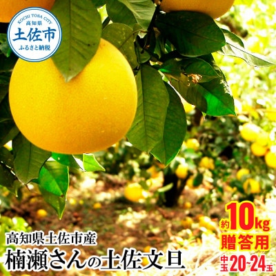 高知県土佐市産 楠瀬さんの土佐文旦 贈答用 中玉 約10kg (2L～Lサイズ　20～24玉 )