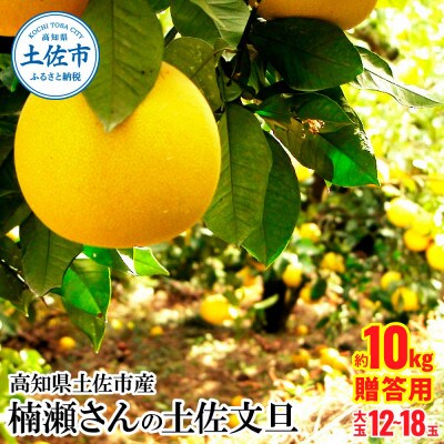 高知県土佐市産 楠瀬さんの土佐文旦 贈答用 大玉 約10kg(4L～3Lサイズ　12～18玉)