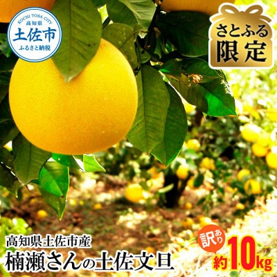 【さとふる限定】【訳あり】高知県土佐市産 楠瀬さんの土佐文旦  約10kg (4L～Lサイズ)