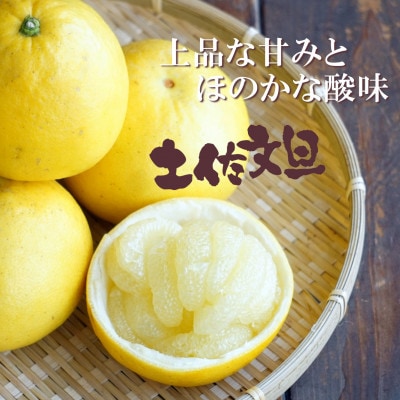 <白木果樹園産> 訳あり 土佐文旦約6kg B級品(8～13個入り)