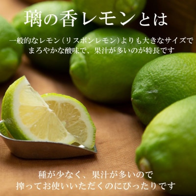 <白木果樹園産> 璃の香レモン約1.5kg 果樹園直送(4～7個入り)