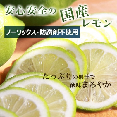 <白木果樹園産> 璃の香レモン約1.5kg 果樹園直送(4～7個入り)