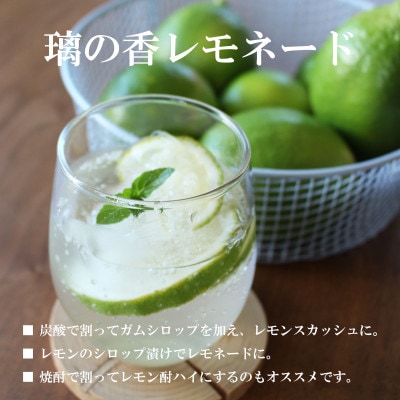 <白木果樹園産> 璃の香レモン約1.5kg 果樹園直送(4～7個入り)