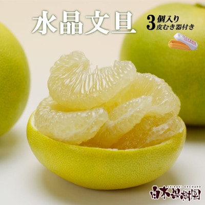 【秋の味覚】水晶文旦 Lサイズ 3個入り 柑橘皮むき器付き