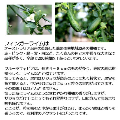 《白木果樹園産》 フィンガーライム おまかせセット 約100g