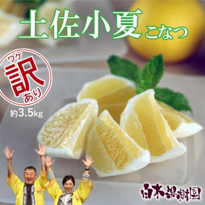 《白木果樹園》 土佐小夏 訳ありご家庭用 約3.5kg