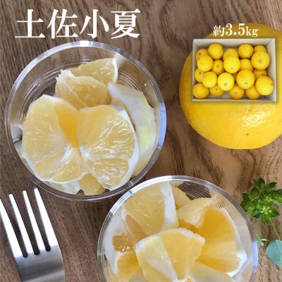 《白木果樹園》 土佐小夏 訳ありご家庭用 約3.5kg