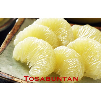 土佐文旦 訳あり 約10kg(3L～Lいずれかのサイズ)