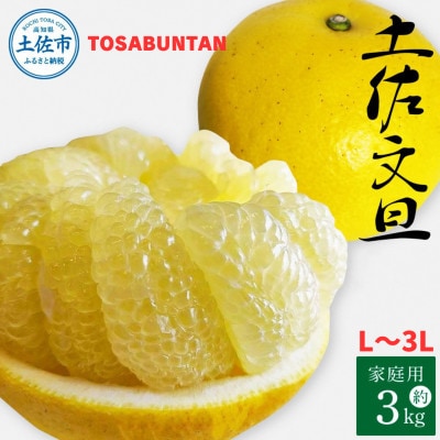 土佐文旦家庭用約3kg　L～3Lサイズ混合
