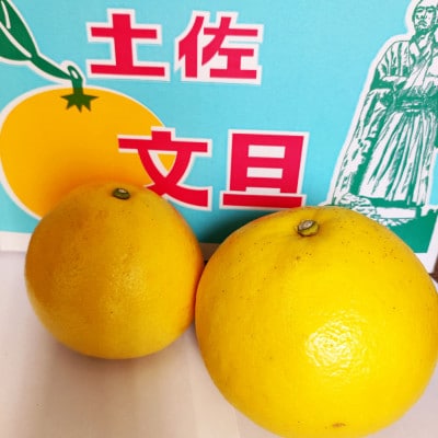 土佐文旦家庭用約3kg　L～3Lサイズ混合