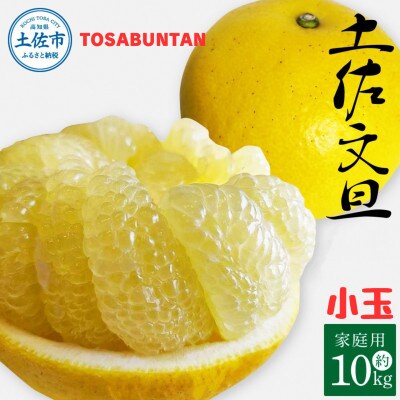 土佐文旦家庭用約10kg　小玉M～Lサイズ混合