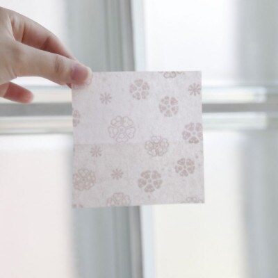 りぐる大人のあぶらとり紙　10個(30枚入り)