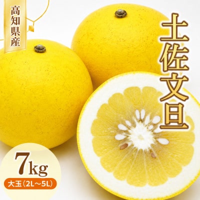 土佐文旦 (ぶんたん) (大玉:2L～5L混合) 家庭用  約7kg 贈答用にも