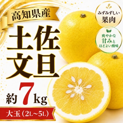 土佐文旦 (ぶんたん) (大玉:2L～5L混合) 家庭用  約7kg 贈答用にも